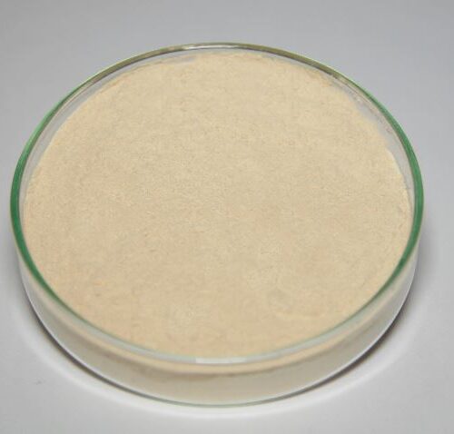 acerola_extract_powder