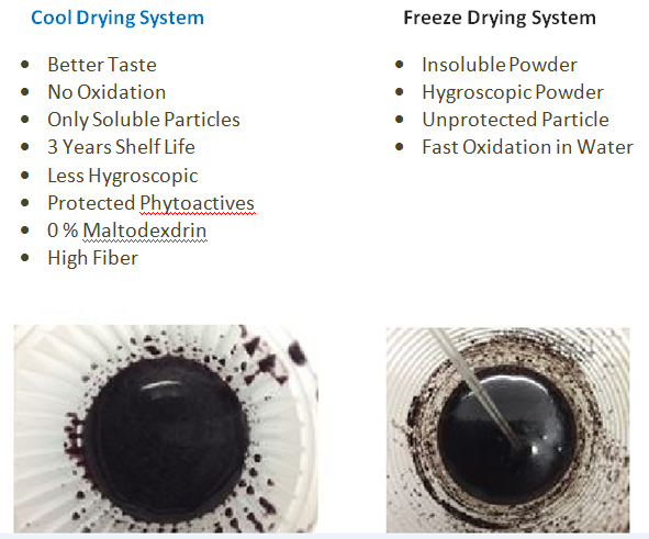 Cool_Drying-Vs-Freeze_Drying